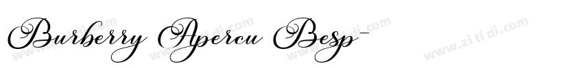 Burberry Apercu Besp字体转换